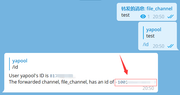 图中红框为频道Id